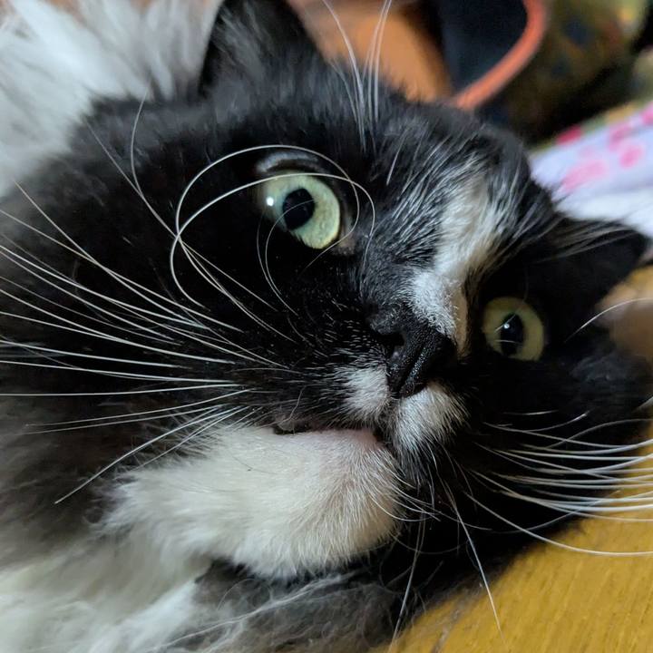 E10f1f4c 80a7 4b47 8872 760a306fb3a1 1768658671091