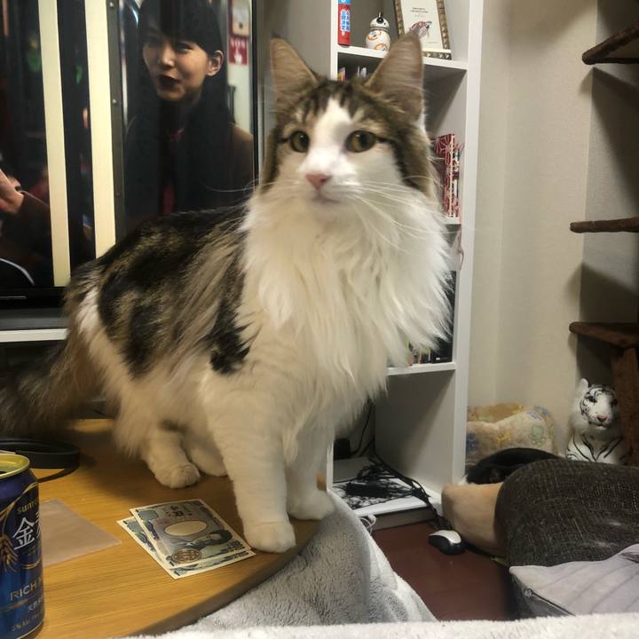 E10f7c56 95a0 414c 8f75 f08426557d61 1546221946491