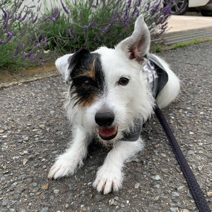 E10fac66 3134 4a6a 86f8 4eeeca26f600 1655425498736