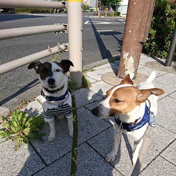 E10fb683 84c1 49b4 84c7 dcbc3c643920 1525127289905