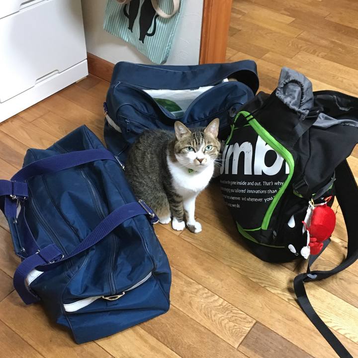 E10fdc12 4c87 4570 a57b 6c4e31aeb571 1544528169045