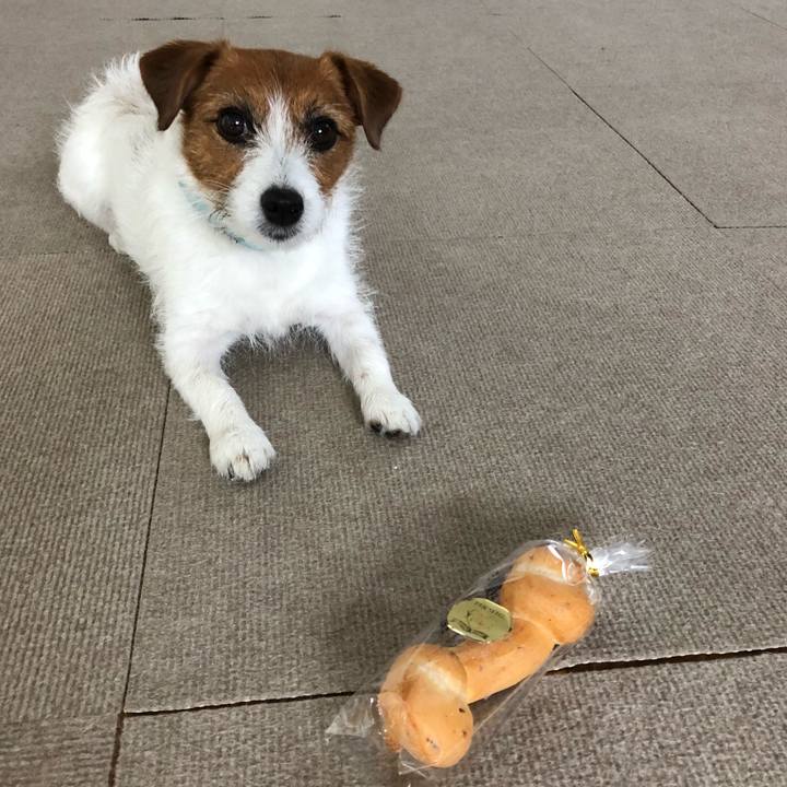 E10ff586 1aee 4b41 9a95 b2218fec6399 1526193429075