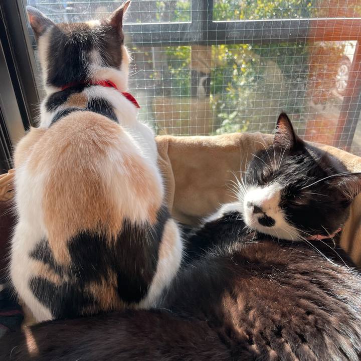 E10fff45 dbc4 46b1 a2ef 62e4036c0def 1712790707315