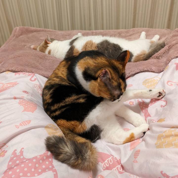 E110100e 9442 4842 a59b efdac0fe561b 1714975710957