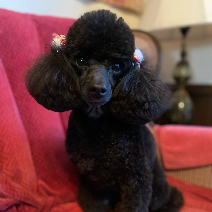 E110114d c5b9 4107 8aea b01844550d52 1609308014850