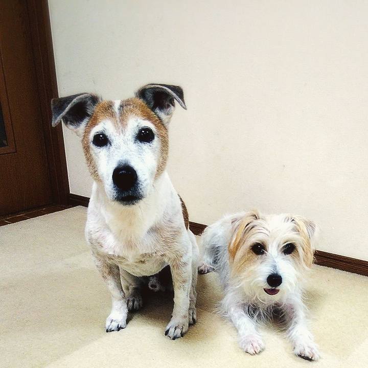 E1101332 0660 468b 8bb1 fc2ebd7d4769 1578807339239