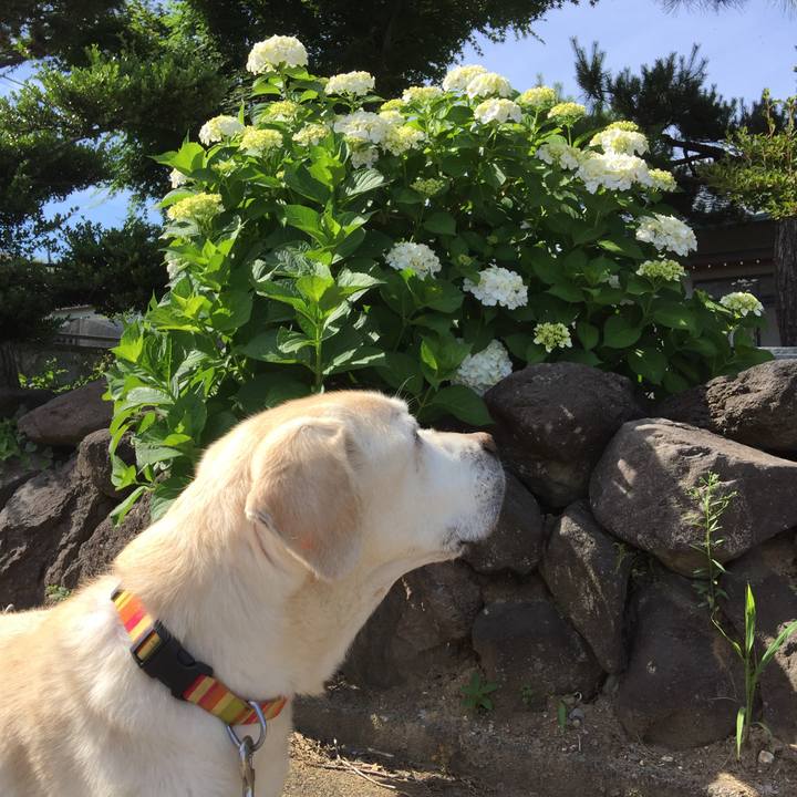 E1102b6d d75b 4491 ae88 c0da709f077b 1547377020940