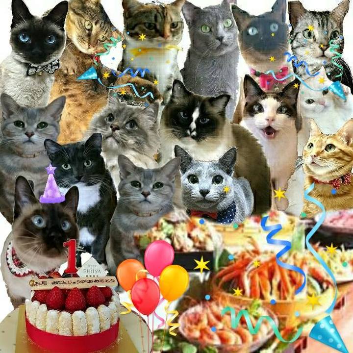 E1103b9c 6a7e 48bd b90c 8a9e9aa9cf68 1525523139375