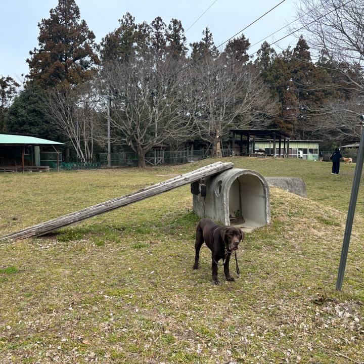 E110410f 50da 44d8 8964 de14ff5049bd 1773402296237