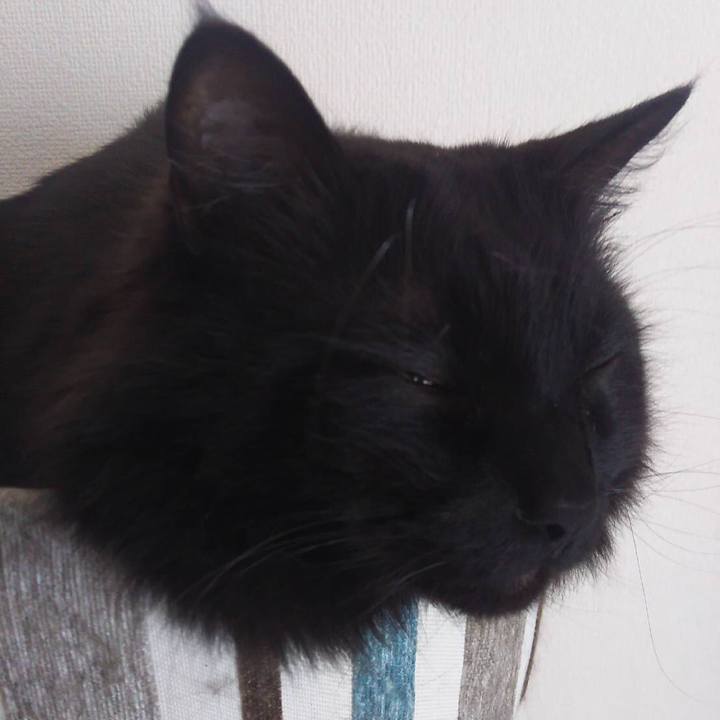 E1108975 9fb2 4547 8d2c 14603ccd5665 1526705257324