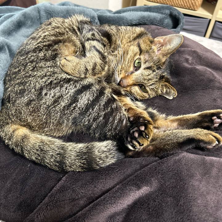 E110aa53 fb6f 4fe2 91b5 243ad98e53f6 1768605872440