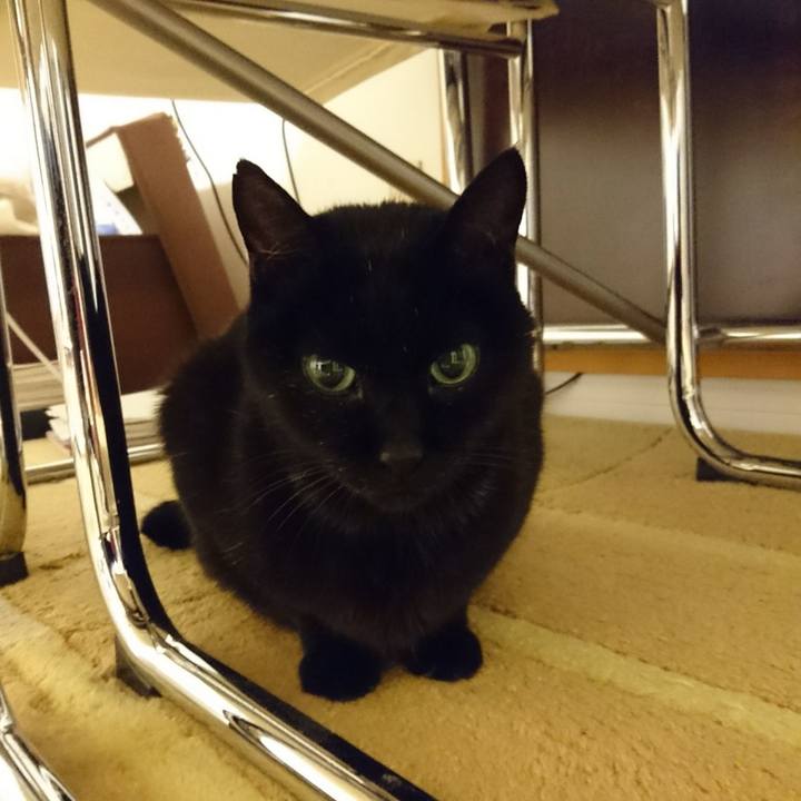 E110cda4 8456 4e42 ae58 e31083b131a6 1547239873814