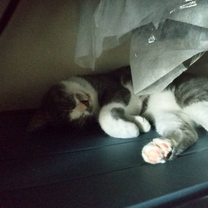 E110cf6c b4f8 476d ab98 1bc7c8bae1fd 1624233724093