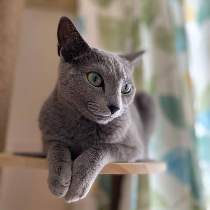 E1111cb8 a1e9 401c 8b44 c88de5ece225 1653346445918