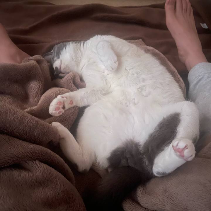 E11221ce a871 454f 8f35 2907e1366be2 1697666762816