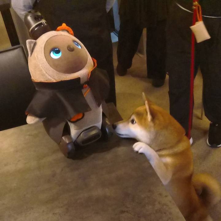 E1122a1d 3a83 4a8e 99a8 e4f60fbe237e 1760853634859