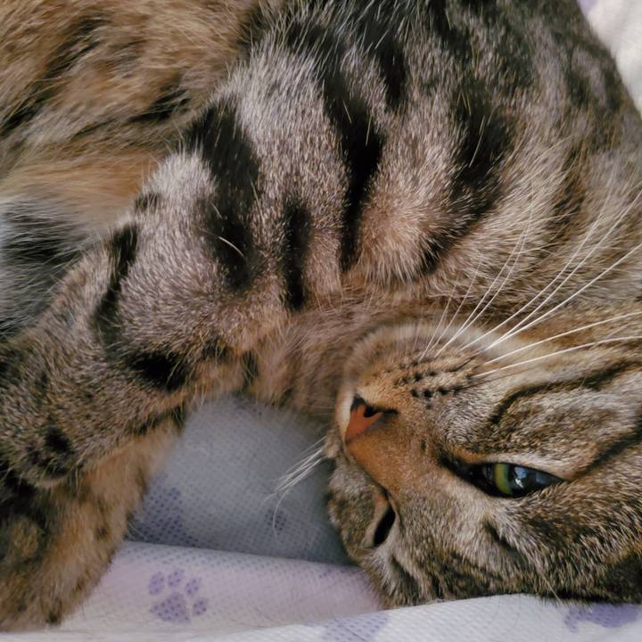 E112510d c5db 40e7 8084 920f8351d703 1701608263846