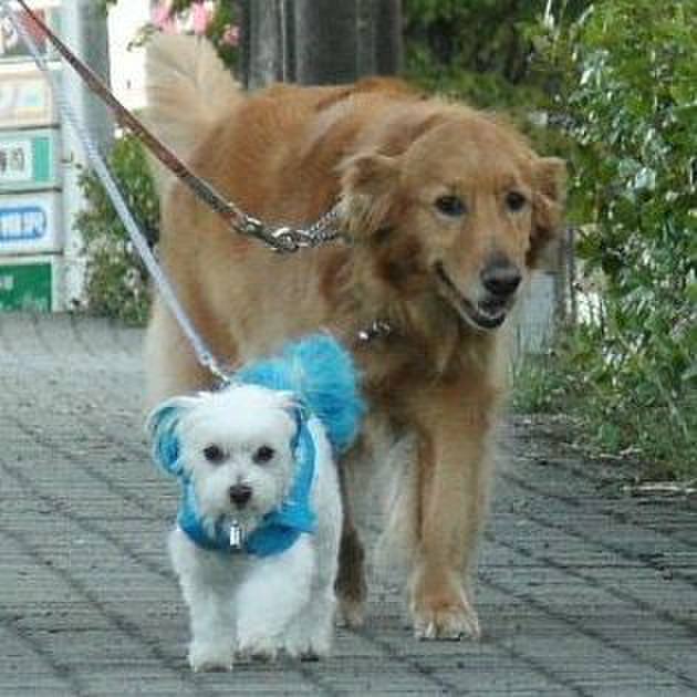 E1125299 d5ca 485d a326 d39718296084 1559741492660