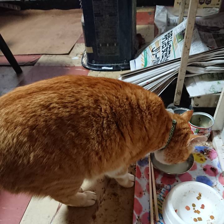 E1126f10 aedc 4027 a3cf 2fd66b133331 1582499390636