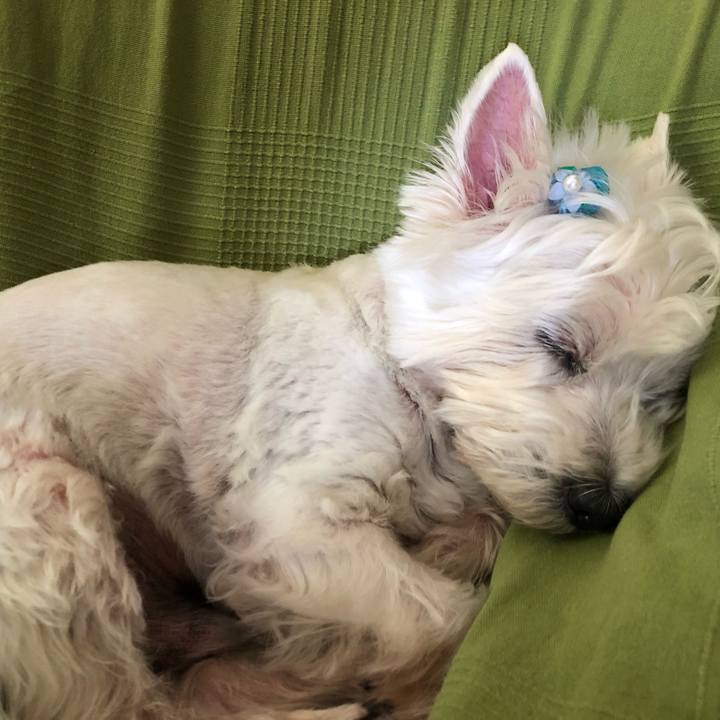 E1127210 8cfe 42de bc9a f4b242a1efb4 1559535662380