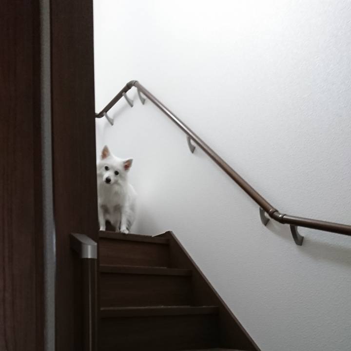 E11287ae a524 4700 bc03 4137bb70bae4 1559105621937