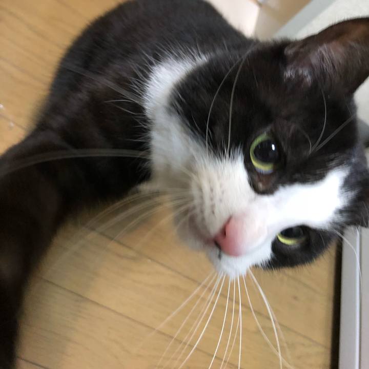 E1129146 a815 4140 90b9 f72c356a7f1b 1515334447599