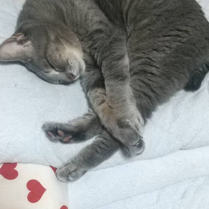 E112ab96 58cc 49c3 9210 bb745cf1b9ca 1661947992838