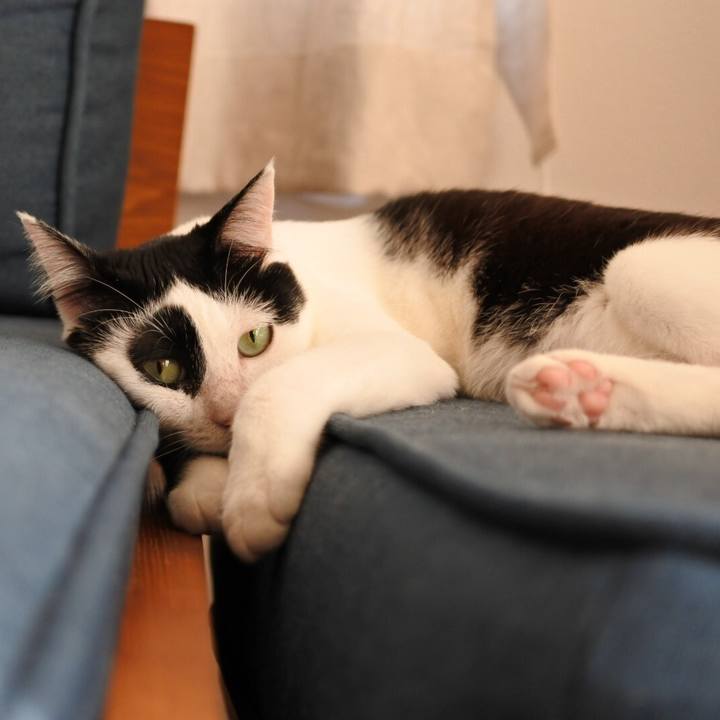 E112ae6f c861 4714 ab4b e46c4e342409 1533560075825