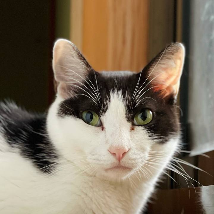 E112ba47 b934 4a39 a240 4bf696737069 1630369786498