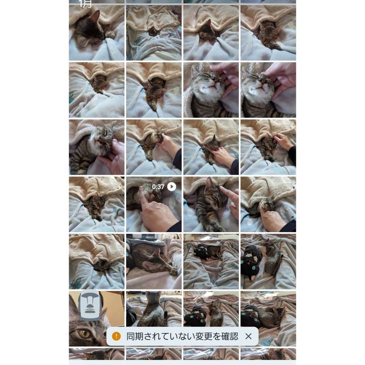 E112d48f acee 452a ad6b 0d0996536e11 1704168120439