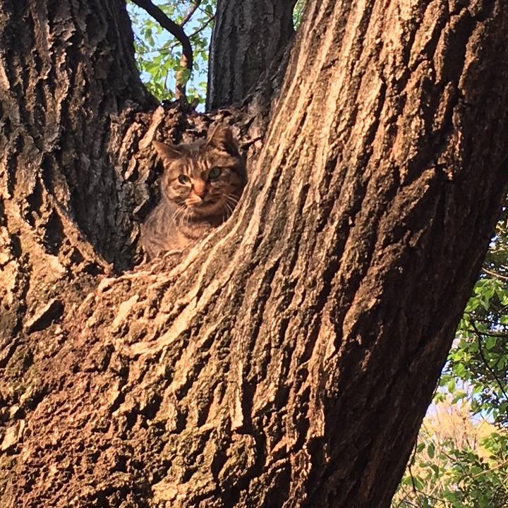 E112d97d e645 4bf6 aa84 53b3fd3e8c16 1586001391698