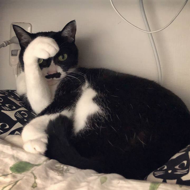 E112d9d6 8101 494a a8da 14ca4f45b73f 1587136434434