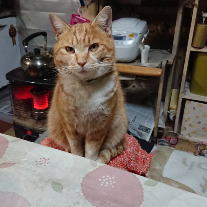 E112edb9 cfa0 49d7 ae47 a05ad70de17e 1581417410574