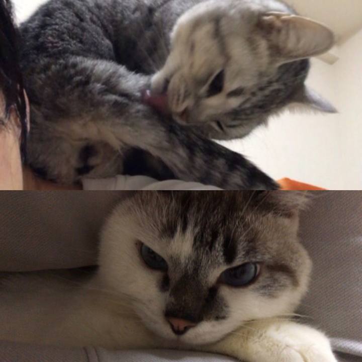 E1130358 eca4 455e b4a6 55759419346e 1547460117757