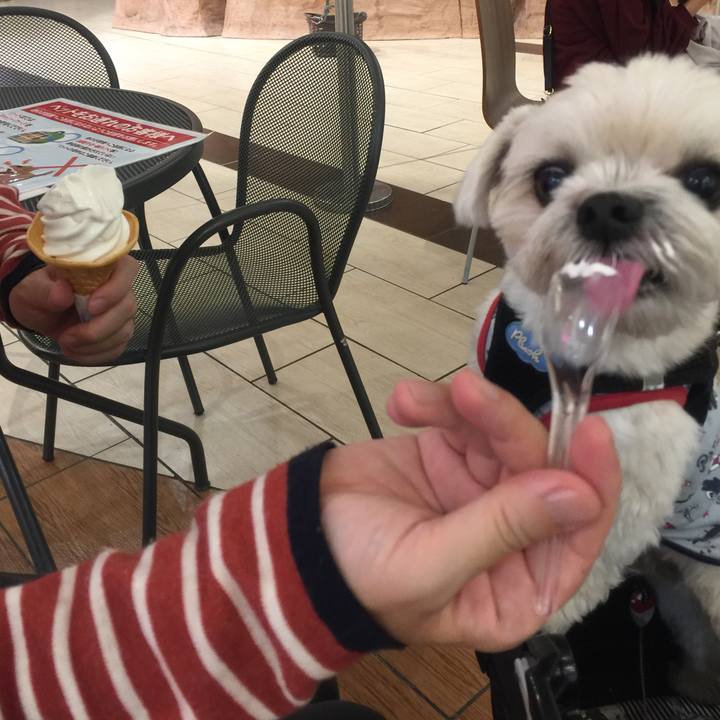 E1131ec0 be82 4711 8435 96424f90b7a1 1509784710623