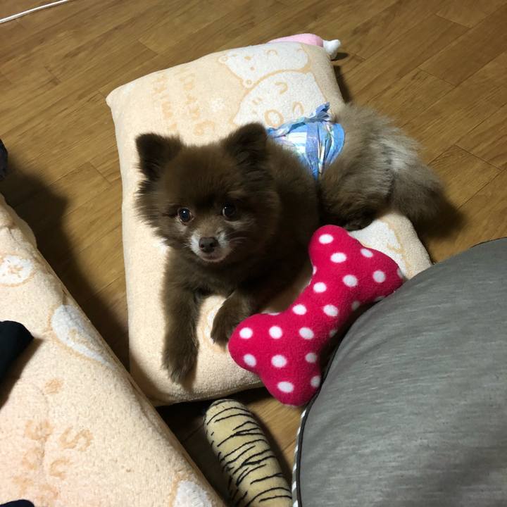 E113212e 66d2 4a33 aa30 f48577b9dc4e 1541296587989