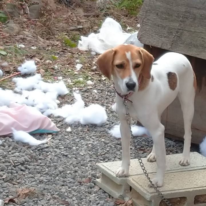 E113381a 3da7 4072 84a0 835f9b92e94b 1577598716170