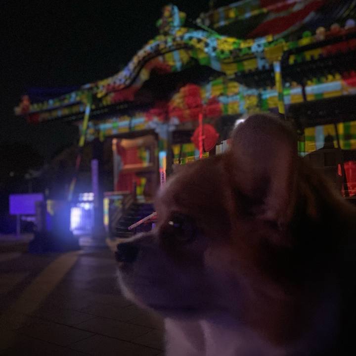 E1134987 7cb7 48d0 84e2 4a3330f2f431 1763200132228