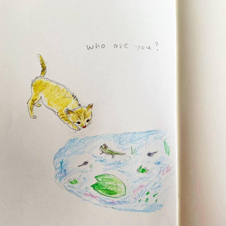 E1134ef1 2e82 4f48 bf6b 3969a7593001 1654730705364