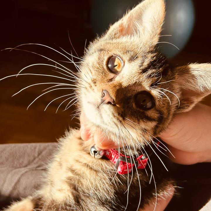 E113527d d0ea 436f 9bca 6419a36c2bcd 1728201081256