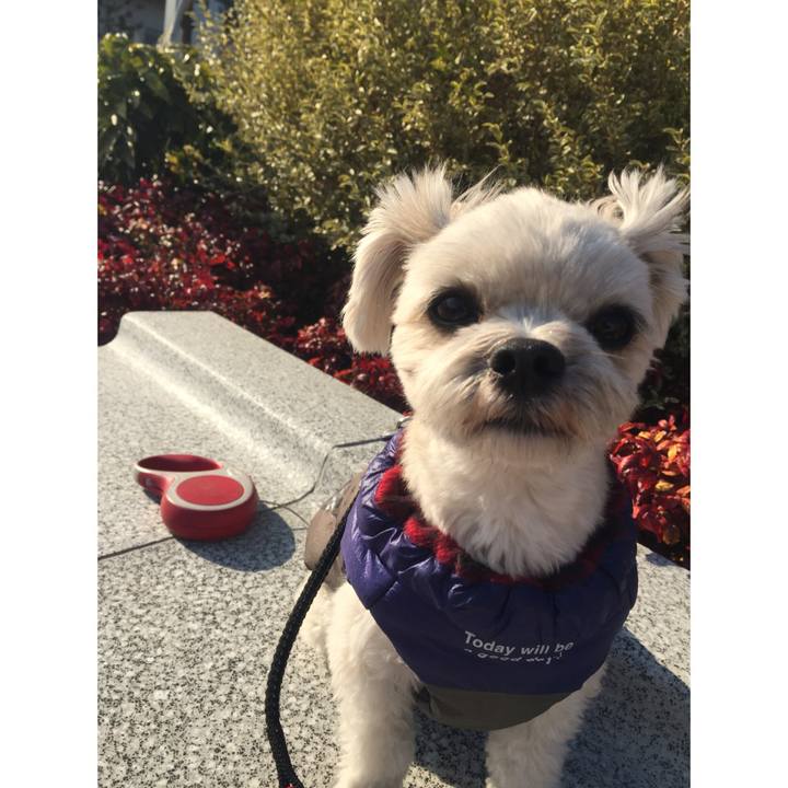 E11356e3 8013 4f0e bcc1 677aa4b37516 1518254407232