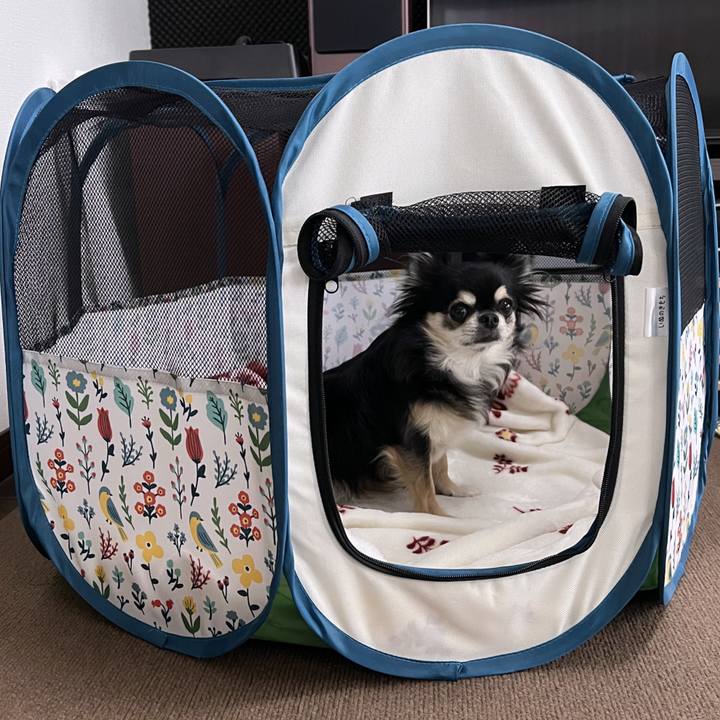 E11375b1 d270 4b99 8dca 148072a0e9f0 1697364337919