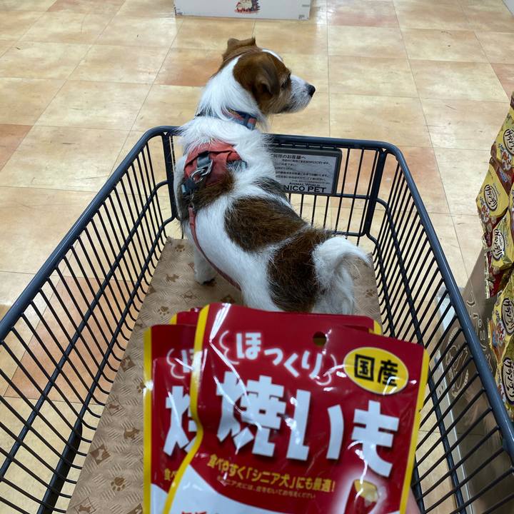 E1138137 3e98 4db7 9390 aef8dc597bea 1734875376046