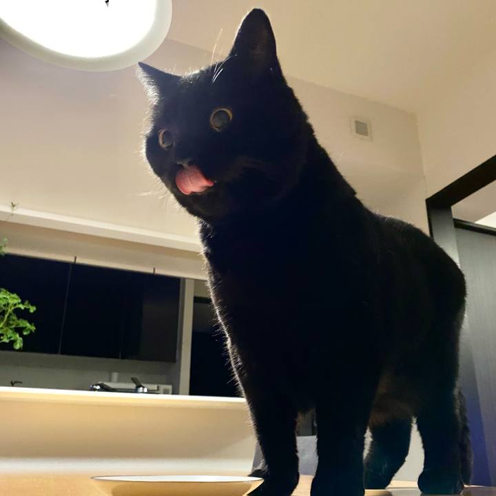 E113824d d75c 4eae bd82 609778a07869 1658401400676