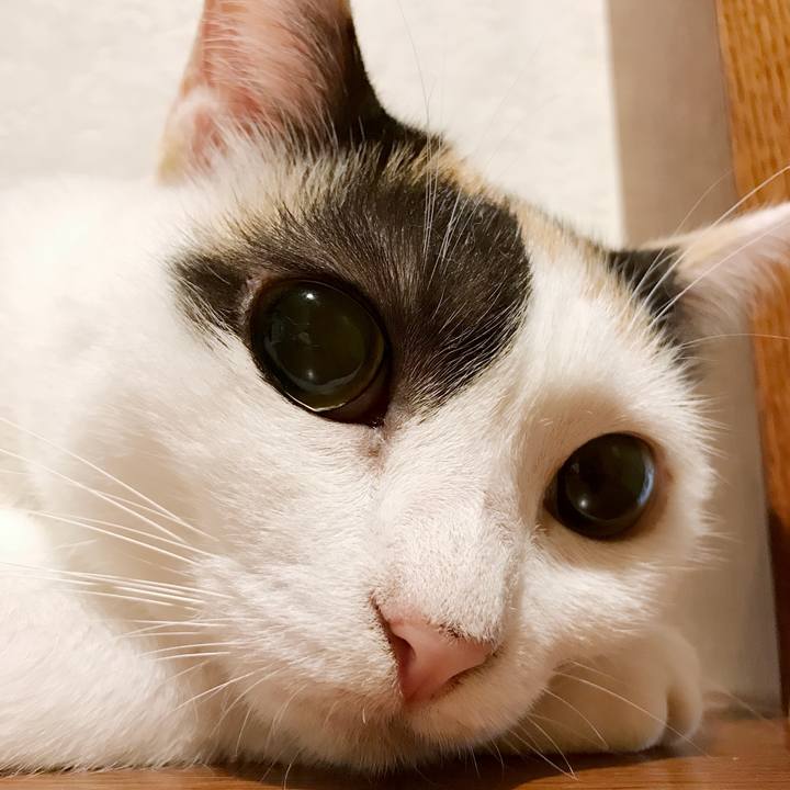 E11391db 32cd 4291 ba2f f68ed35d03b6 1536369077435