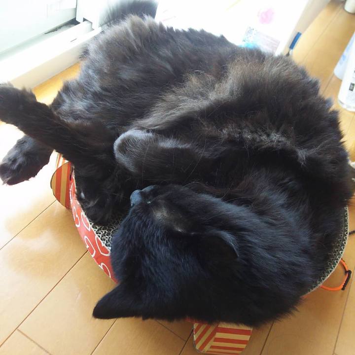 E113bc0a 063c 47fa b421 456e1909c58f 1528512276179