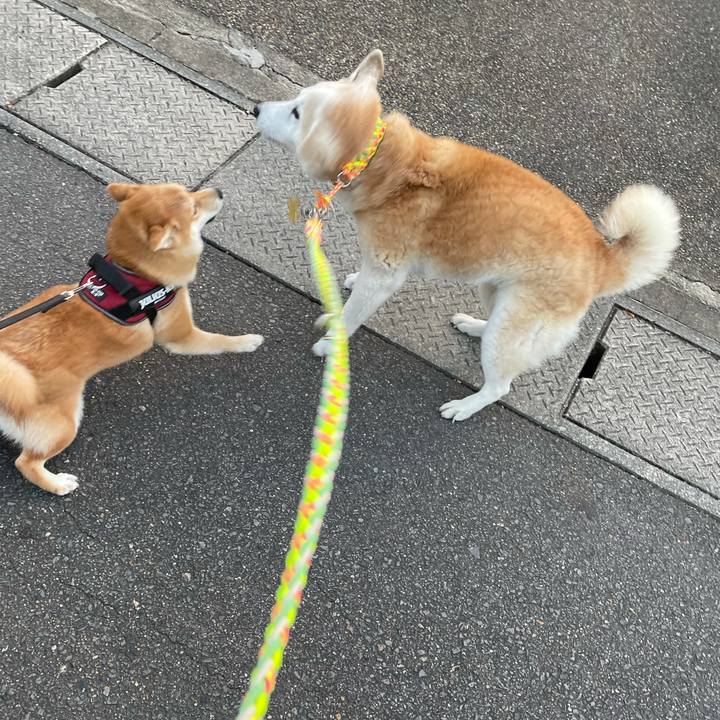 E113dc59 1a07 487a bba3 3974a50db58d 1637709891635