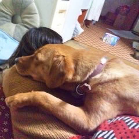 E113e032 0383 4757 a698 3bfe12673390 1514530933520