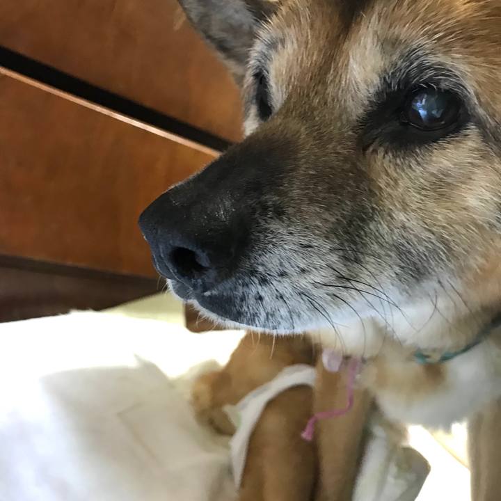 E1145bc9 d37f 4716 a93a 4cc3f58a2434 1557008377457