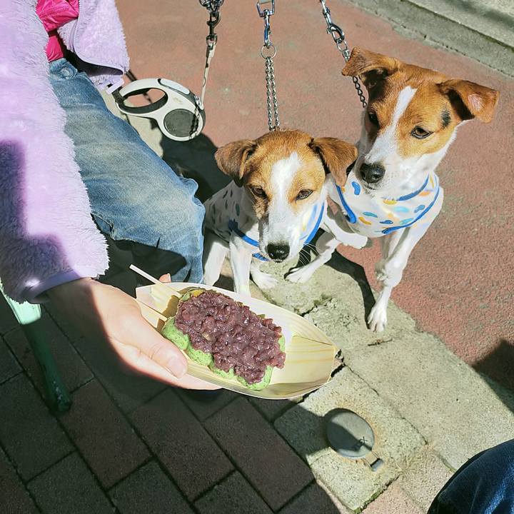 E114ad57 1c3a 4ee8 94b7 8a32ea77bf4d 1761812490433